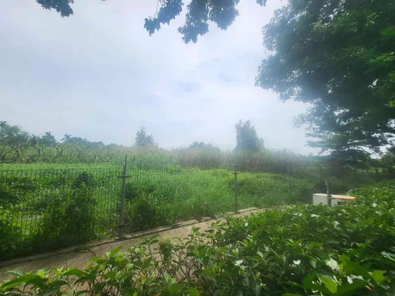 Bán đất xã Nhơn Đức, huyện Nhà Bè, gần khu đô thị The Star Village, diện tích lớn 3616.5m²... Bán đất tại Hiệp Phước, Hồ Chí Minh 01