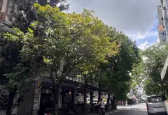 Nhà góc 2 mặt tiền Tân Sơn Nhì, giá tốt còn thương lượng... Bán nhà mặt phố tại Tân Sơn Nhì, Hồ Chí Minh 01