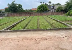 Bán đất Đông Tảo - Hoàn Long - Hưng Yên , đường thông ,2 oto tránh nhau... Bán đất tại Hoàn Long, Hưng Yên 01