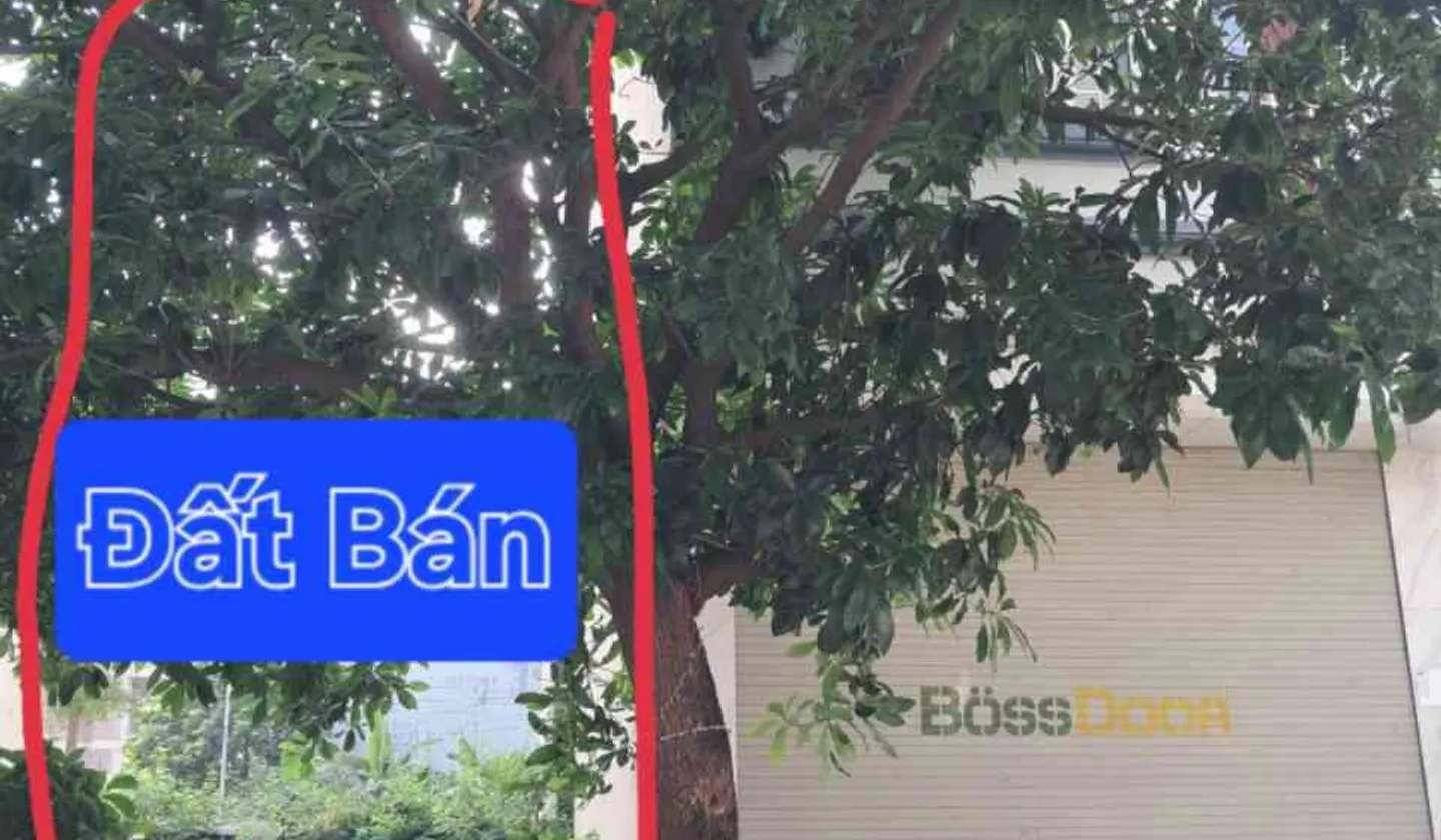 Bán đất phân lô diện tích 49.8m2 tại Yên Nghĩa giá 11.7 tỷ... Bán đất tại Yên Nghĩa, Hà Nội 01