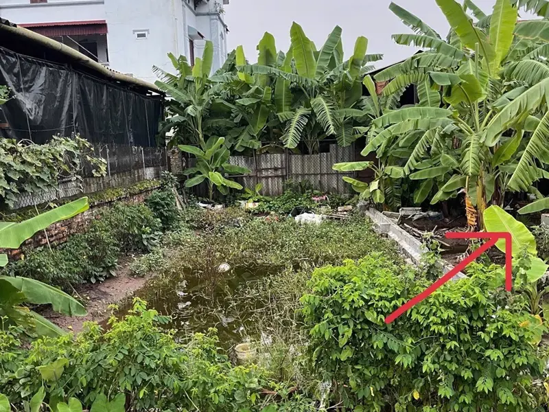 HÀNG HIẾM MỄ SỞ – NGÕ Ô TÔ – KHU DÂN CƯ GIÀU CÓ – DỄ CHỐT

Lô đất tại xã Mễ Sở, tỉnh Hưng Yên (địa... Bán đất tại Mễ Sở, Hưng Yên 01