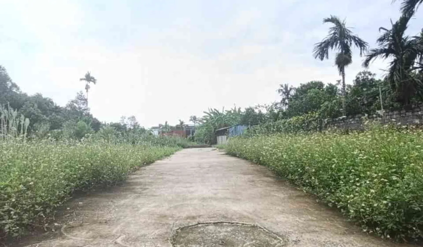 Bán đất thôn 5 Kỳ Sơn, xã Việt Khê, Thủy Nguyên, mặt tiền 4.6m, ô tô vào đất... Bán đất tại Lê Ích Mộc, Hải Phòng 01