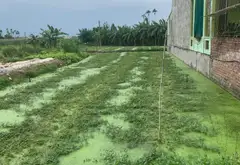 Lô đất 150m² hướng Đông Nam tại Kiều Thượng, An Dương với tiềm năng phát triển vượt trội... Bán đất tại An Dương, Hải Phòng 02