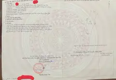 Cơ hội sở hữu mặt phố đắt giá tại trung tâm Đông Anh, diện tích rộng 313m²... Bán nhà mặt phố tại Đông Anh, Hà Nội 01