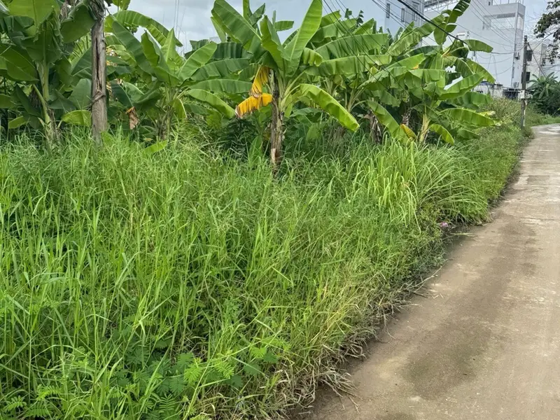 Đất nền rộng rãi, vị trí thuận lợi tại Hoa Động, Thủy Nguyên... Bán đất tại Thiên Hương, Hải Phòng 01