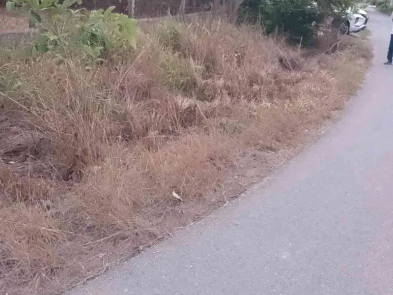 Siêu phẩm đất mặt tiền đường rộng tại Thái Mỹ, Củ Chi... Bán đất tại Thái Mỹ, Hồ Chí Minh 01