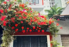 Bán nhà riêng 4 tầng tại Tô Hiệu, Hòa Bình, gần Đầm Sen và Quận 11, giá 10.5 tỷ... Bán nhà riêng tại Tân Phú, Hồ Chí Minh 01