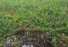 Bán đất Bình Lợi Bình Chánh 433m2, mặt tiền 10m, giá 5.4 tỷ... Bán đất tại Bình Lợi, Hồ Chí Minh 05