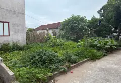 Cơ hội sở hữu đất vị trí đẹp tại Thượng Phúc, Hà Nội chỉ với 2.6 tỷ... Bán đất tại Thượng Phúc, Hà Nội 02