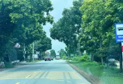 Bán đất hai mặt tiền 240m2 tại Nghi Khúc, phường Mão Điền, Bắc Ninh... Bán đất tại Mão Điền, Bắc Ninh 02