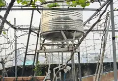 Bán nhà mặt phố phường Thạnh Xuân, Quận 12, mặt tiền chợ, kinh doanh ổn định... Bán nhà mặt phố tại Thới An, Hồ Chí Minh 02