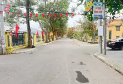 🌺VINCOLOA - ĐƯỜNG THÔNG OTO VÀO ĐẤT - CÁCH OTO TRÁNH CHỈ 30M - ĐI BỘ RA SÂN THỂ DỤC THỂ THAO... Bán đất tại Đông Anh, Hà Nội 02