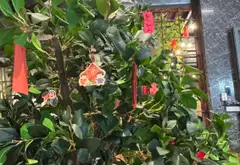 Nhà Ngay Sát Nguyễn Oanh _ Gò vấp _ ngang 4.6 căn góc _ hẻm 5m... Bán nhà riêng tại An Phú Đông, Hồ Chí Minh 02