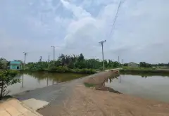 Bán đất 3380m2 mặt tiền 38m tại An Thới Đông Cần Giờ, giá 5.3 tỷ... Bán đất tại An Thới Đông, Hồ Chí Minh 09