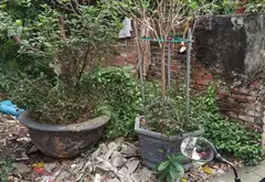 ĐẤT ĐẸP LIÊN MẠC... Bán đất tại Thượng Cát, Hà Nội 01