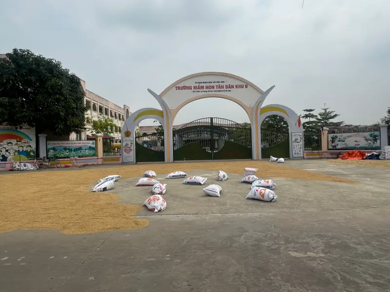 Cơ hội sở hữu lô đất góc mặt tiền đẹp tại trung tâm xã Kim Anh... Bán đất tại Kim Anh, Hà Nội 01