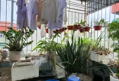 🔥🔥 Ô TÔ VÀO NHÀ – LÔ GÓC – NGÕ THÔNG – TRUNG TÂM BẮC TỪ LIÊM – NHÀ THOÁNG SÁNG, Ở CỰC SƯỚNG! 🔥🔥... Bán nhà riêng tại Phú Diễn, Hà Nội 07