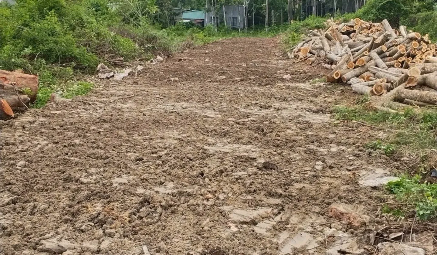 Đất Mặt Đường Kinh Doanh Giá Tốt Tại Phước Hòa... Bán đất tại Phú Giáo, Hồ Chí Minh 01