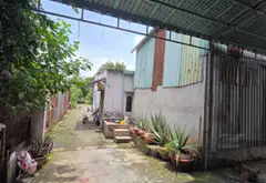 Nhà vườn rộng 420m2 hẻm xe tải giá siêu hấp dẫn... Bán nhà riêng tại Bình Trị Đông, Hồ Chí Minh 04