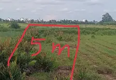 Bán đất thửa 314 xã Xuân Hưng, Tiên Lãng, diện tích 170m², giá 1,8 tỷ đồng... Bán đất tại Chấn Hưng, Hải Phòng 01