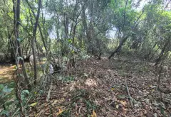 Bán đất dự án sát chung cư quận 7, diện tích 2890 m2, pháp lý chuẩn... Bán đất tại Phú Thuận, Hồ Chí Minh 07