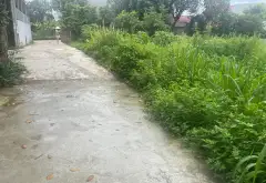 Đất nền siêu HOT tại Phù Linh – Lô góc mặt tiền rộng, ô tô tránh... Bán đất tại Sóc Sơn, Hà Nội 03