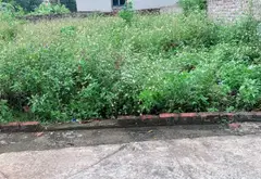 Đất thổ cư 80m² ngay thôn Chùa Nấu, Sóc Sơn giá tốt... Bán đất tại Nội Bài, Hà Nội 01