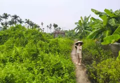 Lô đất vị trí thuận lợi tại phường Thiên Hương, Hải Phòng... Bán đất tại Thiên Hương, Hải Phòng 01