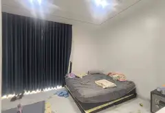 Tiểu biệt thự hiện đại sau viện Nhi Đức lô góc siêu đẹp.... Bán nhà mặt phố tại Kiến An, Hải Phòng 05