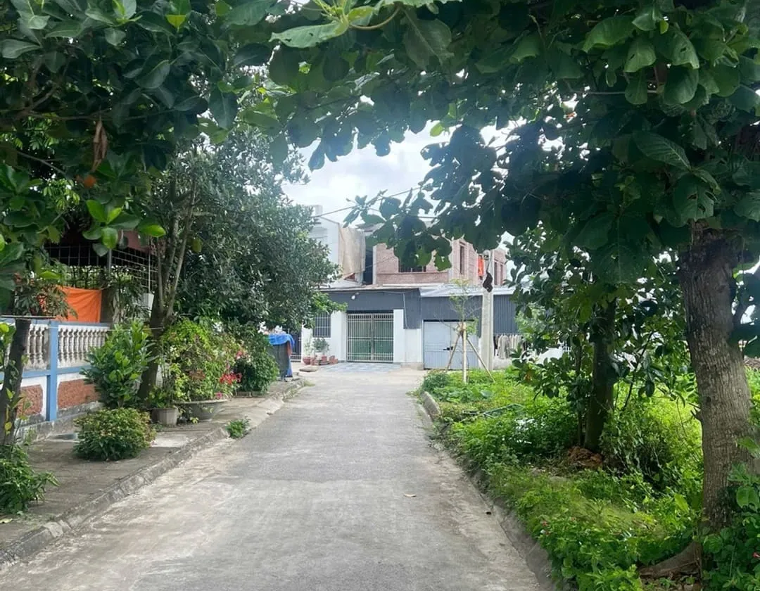 Bán đất Gò Gai Thủy Nguyên Hải Phòng, diện tích 102,1m2, mặt tiền 5m, pháp lý cơ sở... Bán đất tại Thủy Nguyên, Hải Phòng 01