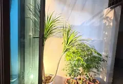 Nhà 4 tầng thiết kế thông thoáng tại khu dân cư Ỷ Lan, ô tô dừng đỗ dễ dàng... Bán nhà riêng tại Thuận An, Hà Nội 05