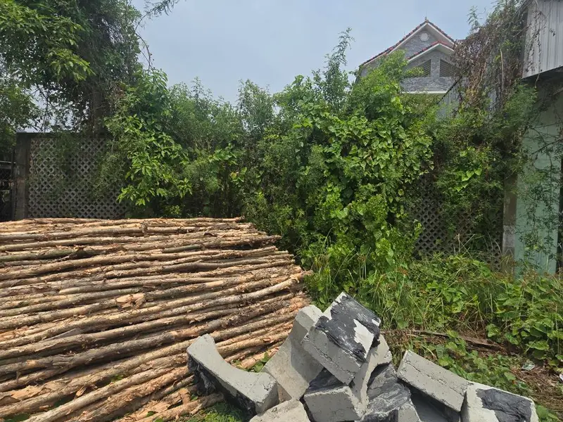 Bán đất xã Hiệp Phước, Nhà Bè, diện tích lớn, mặt tiền 10m, pháp lý rõ ràng... Bán nhà mặt phố tại Hiệp Phước, Hồ Chí Minh 01