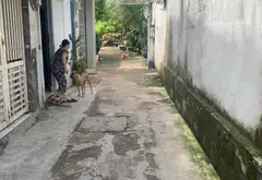 Bán nhà 2 tầng hẻm xe hơi Tân Phú, diện tích 62m2, giá 6.1 tỷ... Bán nhà riêng tại Phú Thọ Hòa, Hồ Chí Minh 11