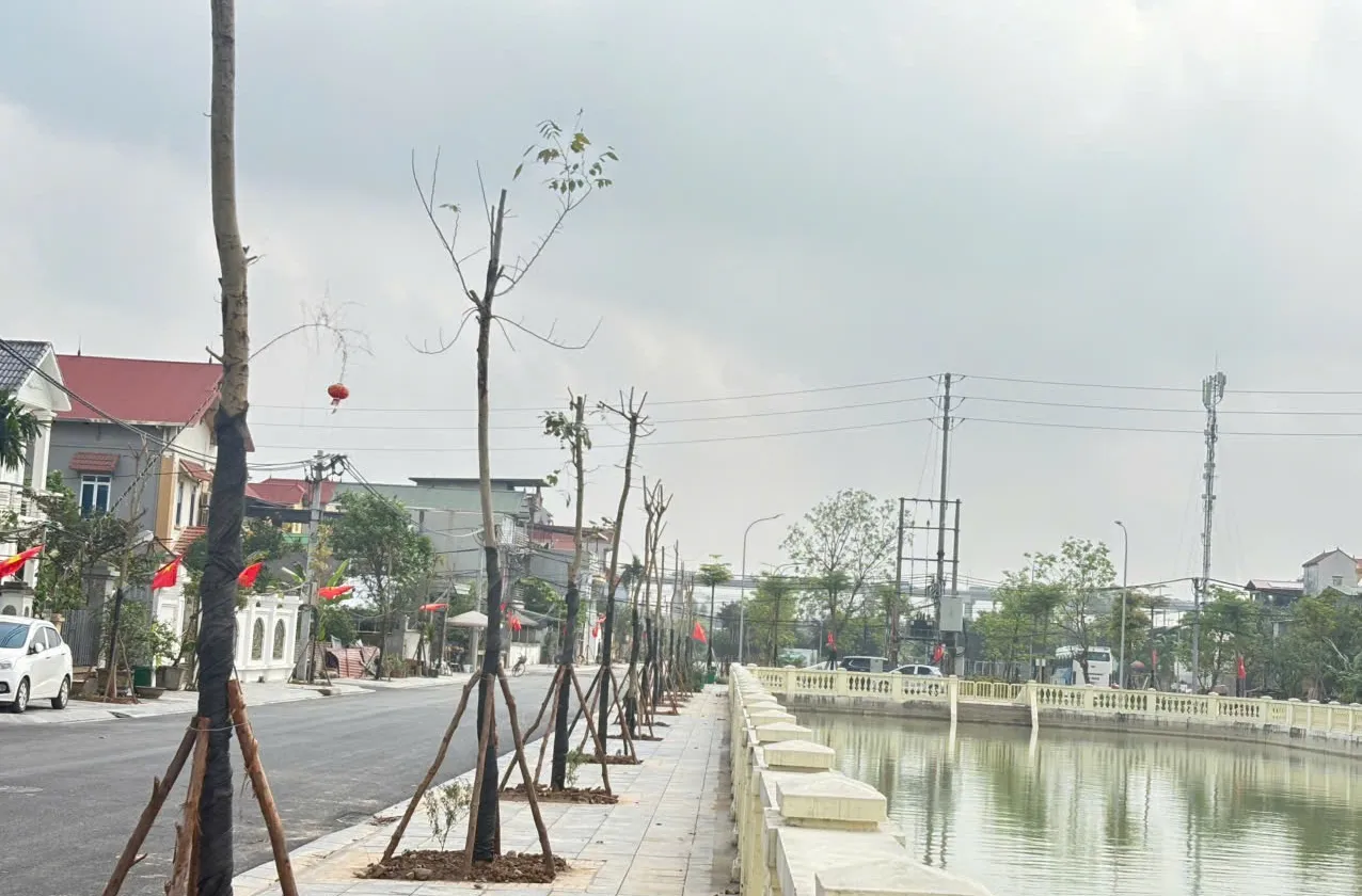 🌺NỞ HẬU - ĐƯỜNG THÔNG OTO VÀO ĐẤT - CÁCH TRỤC KINH DOANH OTO TRÁNH HỒ ĐIỀU HOÀ THOÁNG MÁT CHỈ 30M... Bán owner_side tại Thiên Lộc, Hà Nội 01