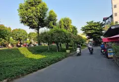 Bán đất mặt tiền Trường Chinh, Gần Metro, 263m² giá 40 tỷ... Bán đất tại Tân Sơn, Hồ Chí Minh 04