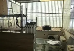 Nhà đẹp Hoàng Bật Đạt, 5 tầng, xe hơi vô tận nơi... Bán nhà riêng tại Tân Sơn, Hồ Chí Minh 19