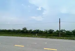 Đất đẹp mặt tiền rộng tại Lương Tài, Bắc Ninh - Đầu tư sinh lời cực hấp dẫn... Bán đất tại Lương Tài, Bắc Ninh 05