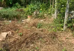Lô góc rộng 123m² mặt đường Lương Quán, An Dương, cơ hội đầu tư và an cư lý tưởng... Bán đất tại An Dương, Hải Phòng 04