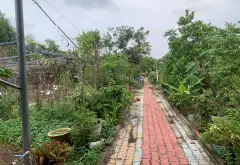 Bán đất 2474.5m2 xã Nhơn Đức, Nhà Bè giá 29 tỷ... Bán đất tại Hiệp Phước, Hồ Chí Minh 11