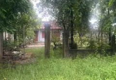Bán đất chính chủ 100m tại Đại Tài - Nghĩa Trụ Hưng Yên... Bán đất tại Nghĩa Trụ, Hưng Yên 04