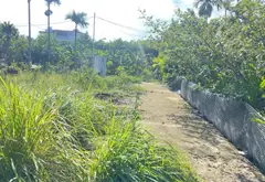Đất phân lô mặt tiền rộng tại Văn Giang - giá tốt nhất khu vực... Bán đất tại Văn Giang, Hưng Yên 08