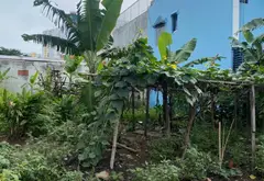 Bán đất thổ cư hoàng ngân ,dt 4x25m2 tại Phường Phú Định, Quận 8, TPHCM, hẻm xe hơi chỉ 5 tỷ 7... Bán đất tại Phú Định, Hồ Chí Minh 03