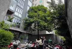 Toà nhà văn phòng 8 tầng với quỹ đất lớn tại trung tâm Quận 1... Bán nhà mặt phố tại Tân Định, Hồ Chí Minh 02