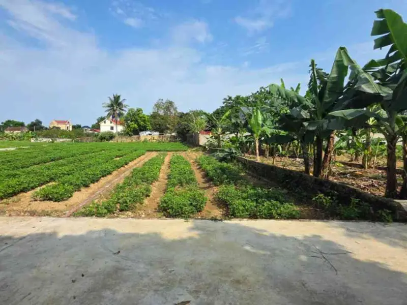 ĐẤT BẮC NINH GIÁ RẺ... Bán đất tại Hiệp Hòa, Bắc Ninh 01