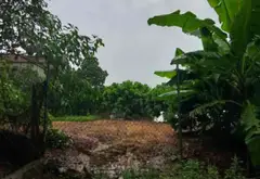 DIỆN TÍCH VỪA PHẢI - KHU DÂN CƯ ĐÔNG ĐÚC GẦN TRƯỜNG HỌC CÁC CẤP , CHỢ - LÔ GÓC FULL THỔ CƯ - PHÙ... Bán đất tại Văn Giang, Hưng Yên 01