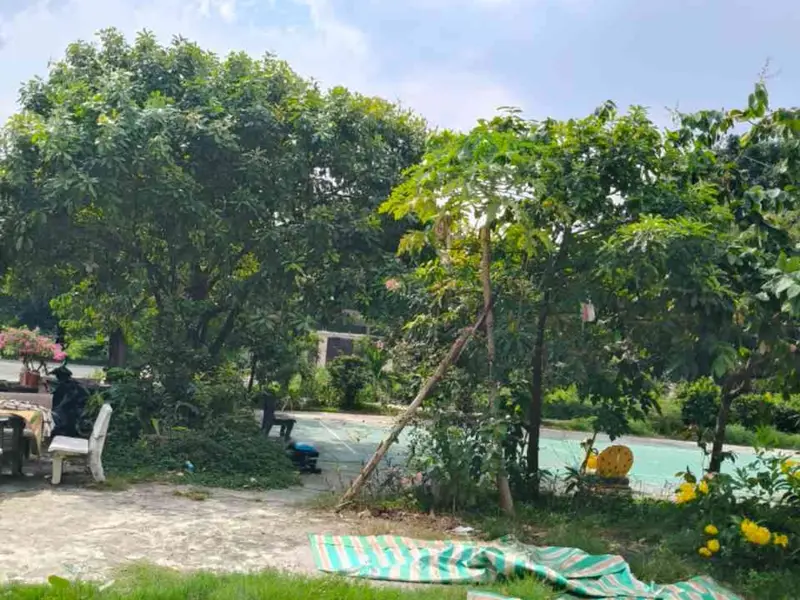 Nhà riêng tại Xã Bà Điểm với thiết kế 12 phòng trọ, thu nhập ổn định... Bán nhà riêng tại Bà Điểm, Hồ Chí Minh 01