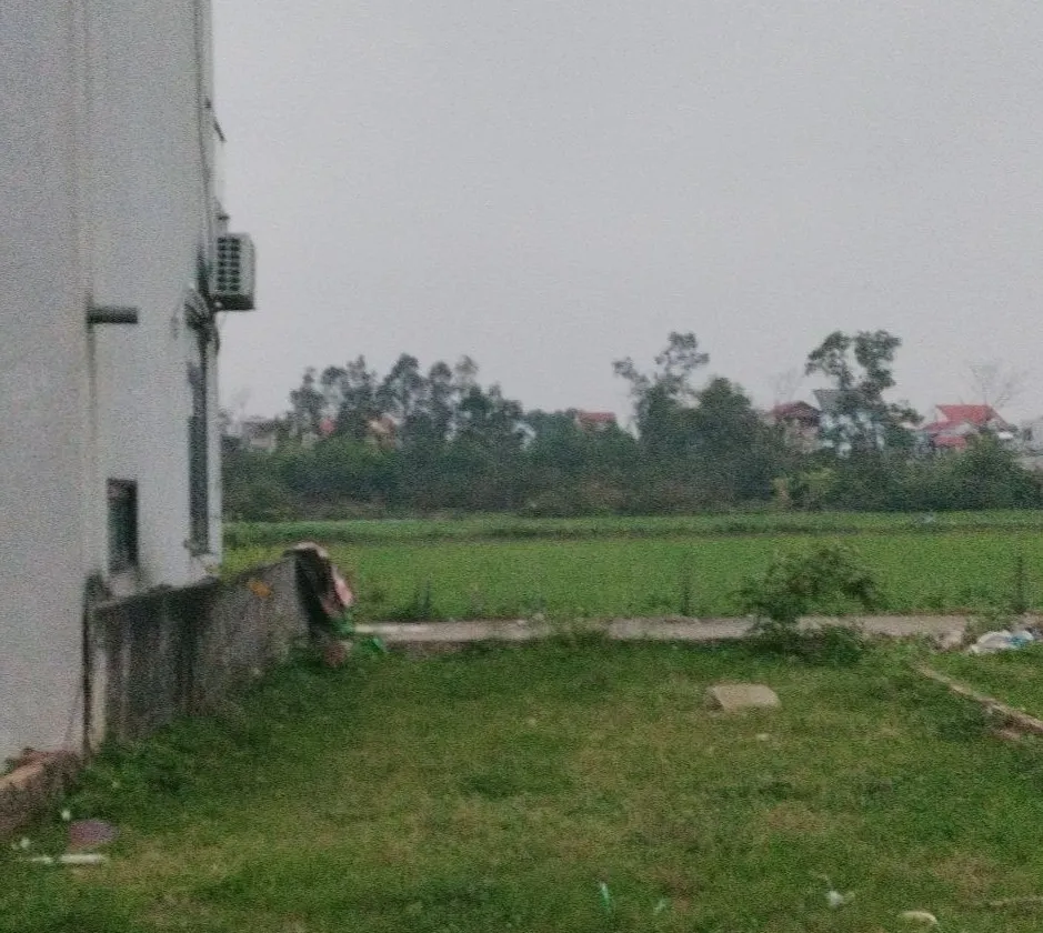 Sở hữu đất vàng Đông Lại, không gian mở đáng mơ ước... Bán đất tại Sóc Sơn, Hà Nội 01