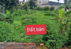 Đất đẹp rộng rãi, vị trí đắc địa, tuyệt vời cho cả an cư và đầu tư... Bán đất tại Kim Anh, Hà Nội 04