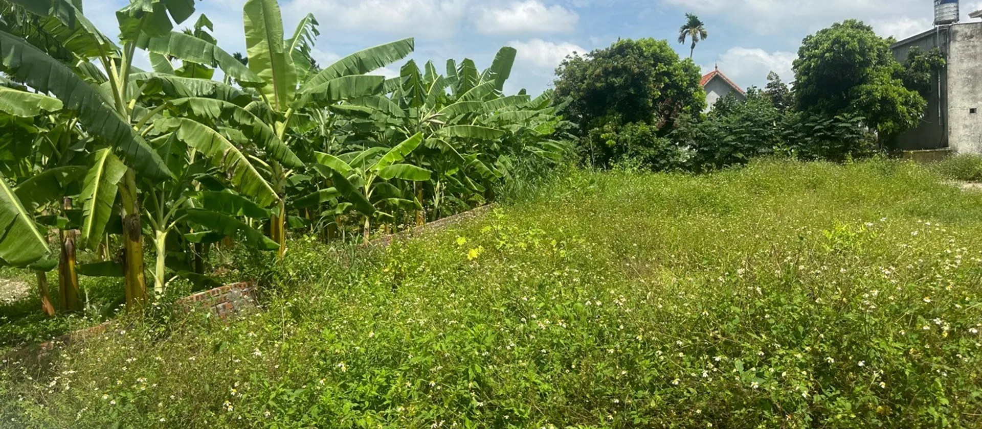 Đất phân lô ô tô tránh tại Phù Lưu, Ninh Sơn, Thuỷ Nguyên... Bán đất tại Thủy Nguyên, Hải Phòng 01