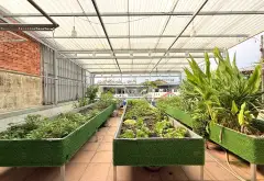 322m _ Nhà 5 Tầng _ ngang 6.5 _ Mặt tiền _ Tô ký... Bán nhà riêng tại Trung Mỹ Tây, Hồ Chí Minh 08